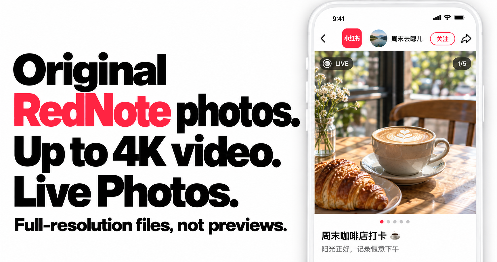 Original RedNote photos, up to 4K video and Live Photos. Full-resolution files, not previews. Source-inspired RedNote note artwork.