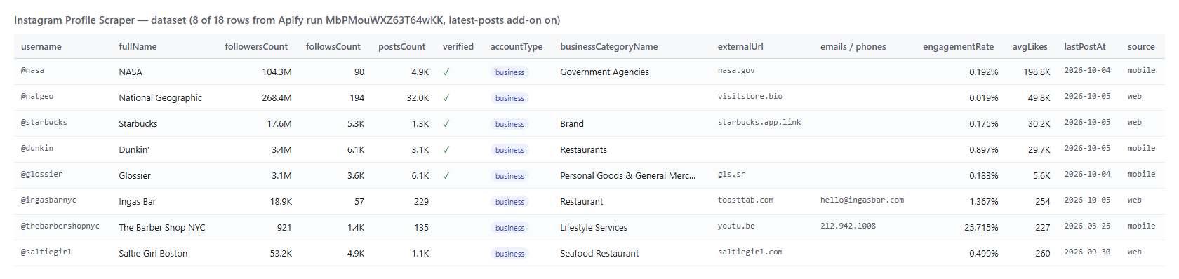 Instagram Profile Scraper output: followers, posts, category, website and engagement per profile