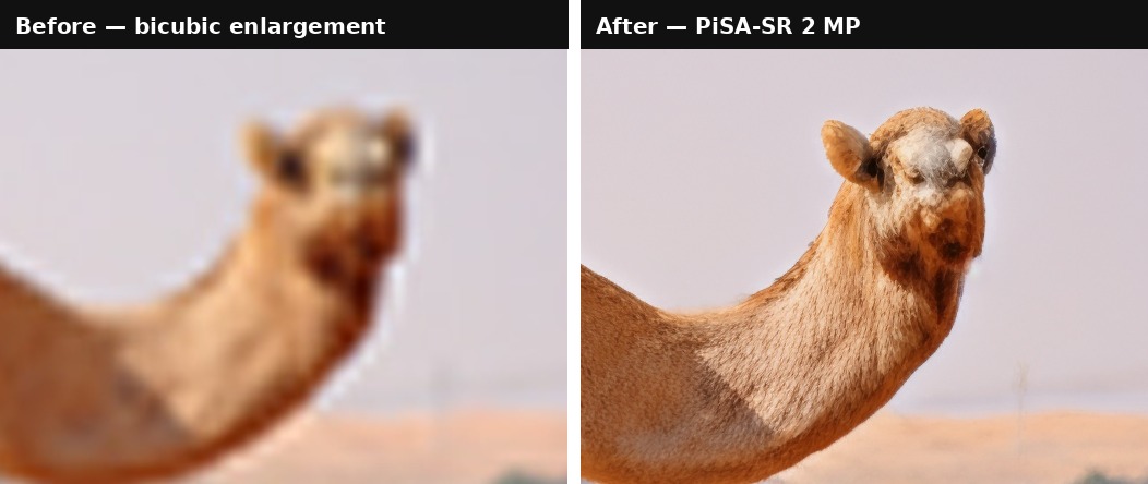 PiSA-SR upscaling — bicubic enlargement versus PiSA-SR at 2 MP